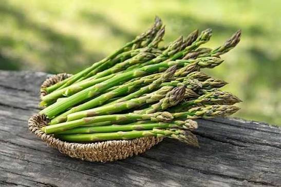 Tanaman Asparagus dan Sejuta Manfaat untuk Kesehatan
